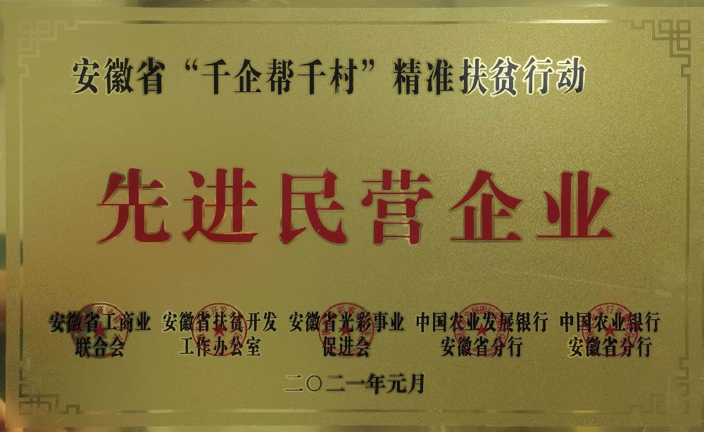 省”千企幫千村“精準(zhǔn)扶貧行動先進(jìn)民營企業(yè)