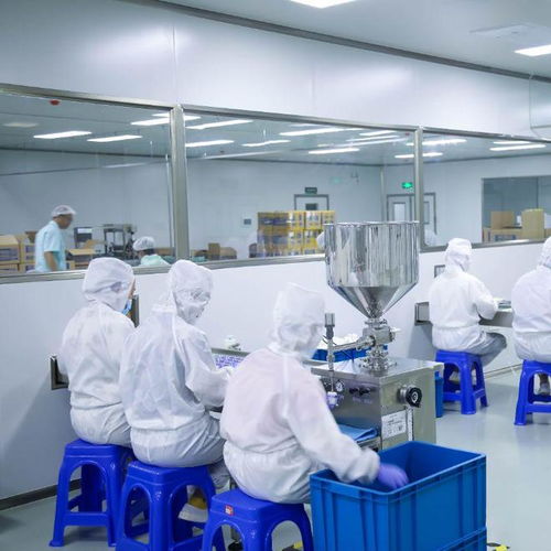 專業(yè)功效護膚科技工廠 信息技術咨詢服務如何精準捕捉市場需求